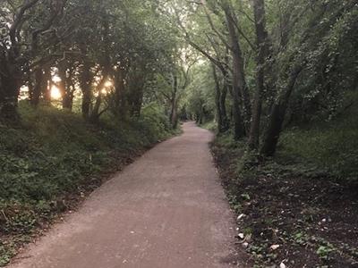Picture 19